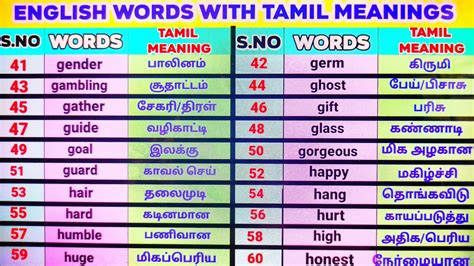 bet tamil meaning|English to Tamil Meaning of bet .